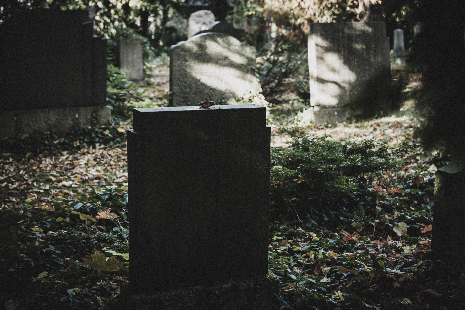 Schortens-Heidmühle, Jüdischer Friedhof